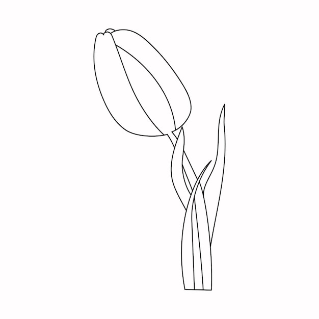 minimalista cacto linha arte, simples suculento desenho, Preto branco ,  abstrato vaso arte 20525415 Vetor no Vecteezy