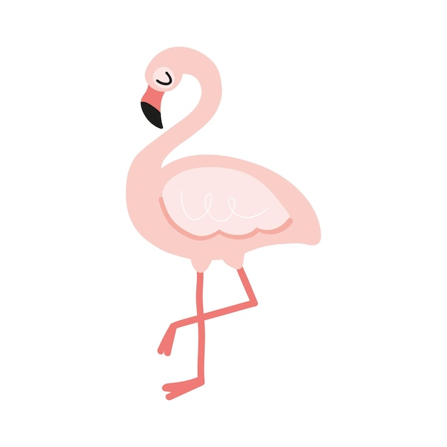 Lindo pássaro flamingo no fundo branco