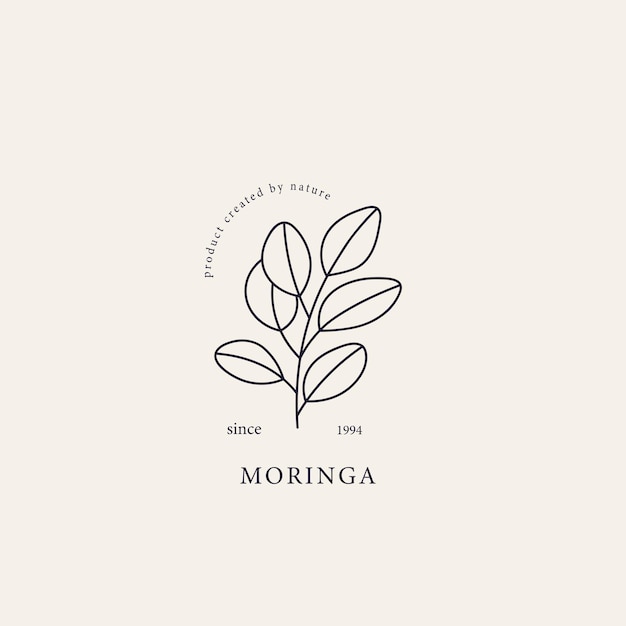 Vetor linha arte logotipo do ramo moringa