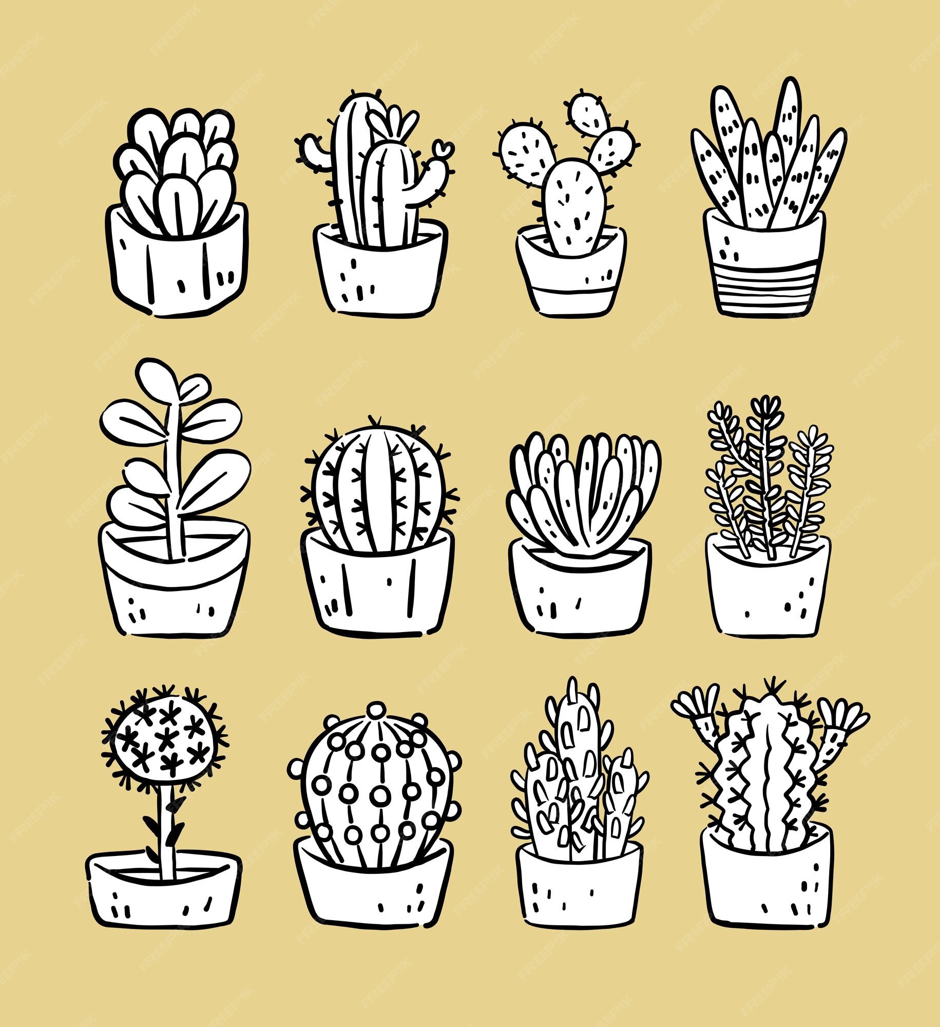 cactus shapes  Cactos desenho, Cactos e suculentas, Desenho