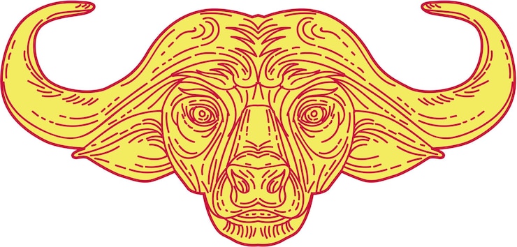Vetor linha mono da cabeça de buffalo africana