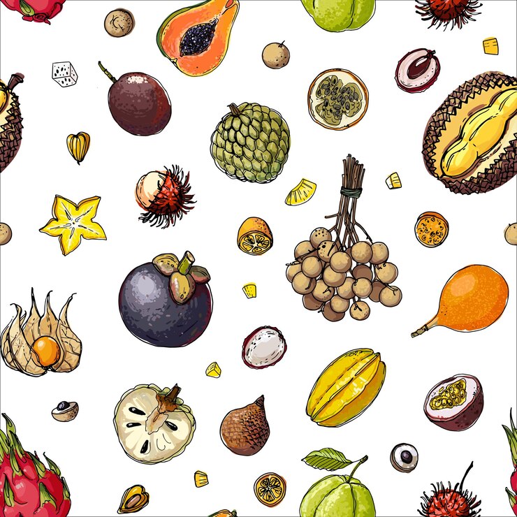 Vetor linha preta de tangerinas desenhada em um fundo branco mandarine vector desenho de frutas