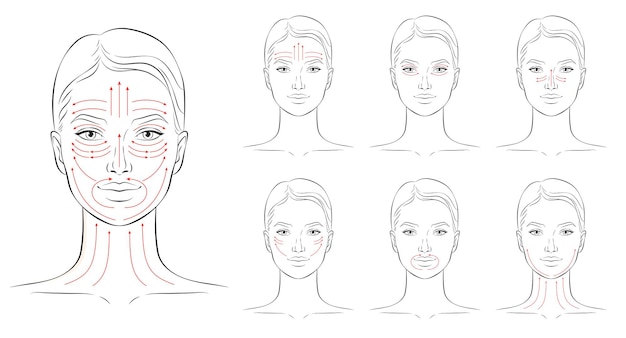 Linhas de massagem facial Ilustração vetorial de instruções de massagem facial