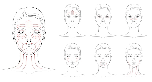 Vetor linhas de massagem facial ilustração vetorial de instruções de massagem facial