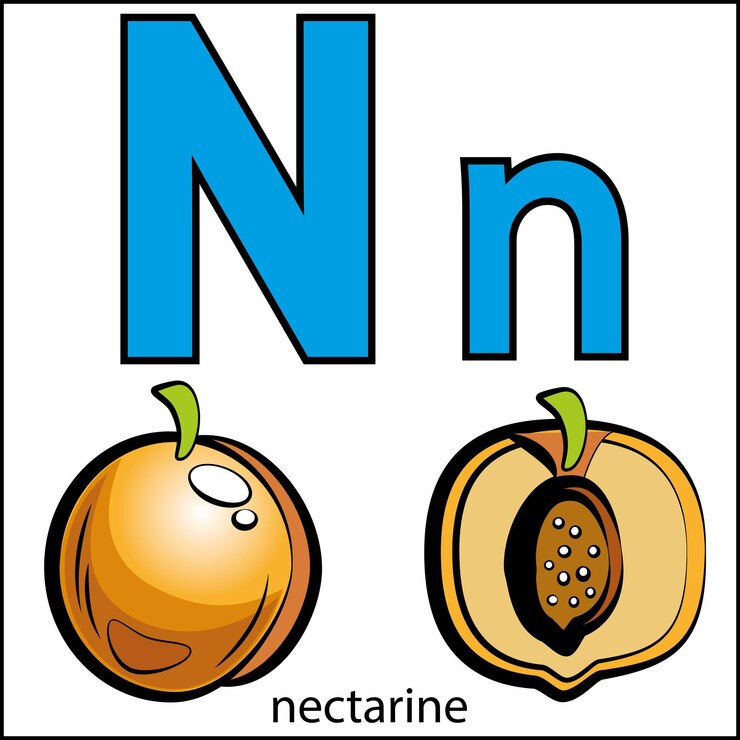 Vetor livro de colorir abc para crianças com frutas e legumes letras coloridas frutas e legumes