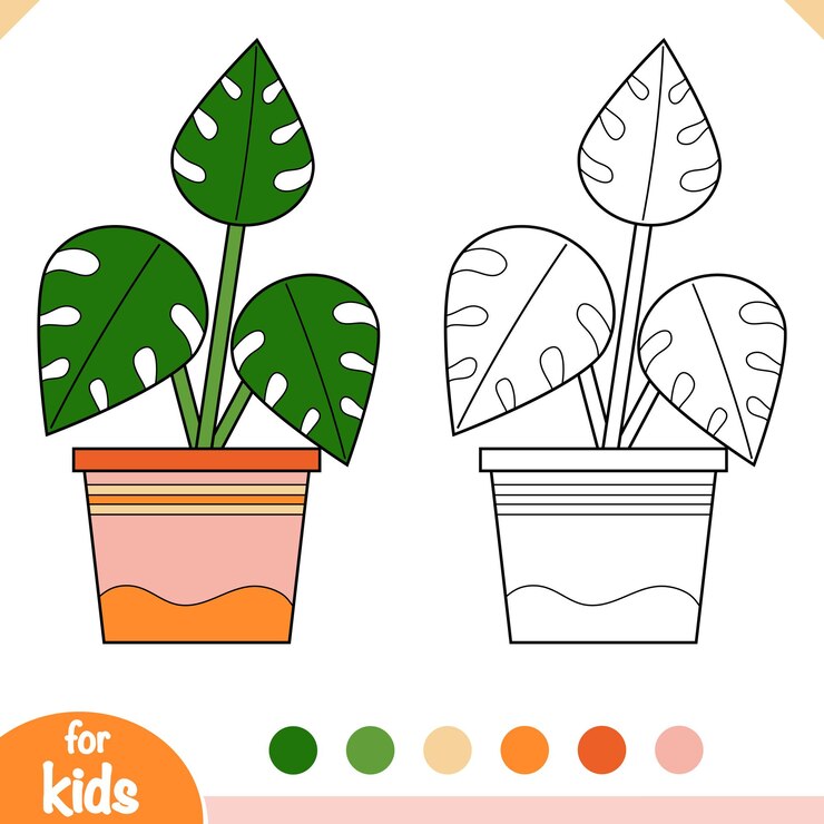 Vetor livro de colorir coleção de desenhos animados de plantas de casa monstera