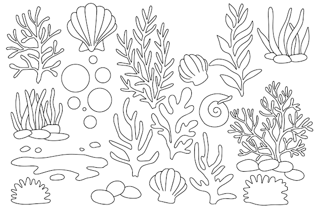 Livro de colorir Ilustração de elementos marinhos estrelas de mar conchas corais algas e bolhas