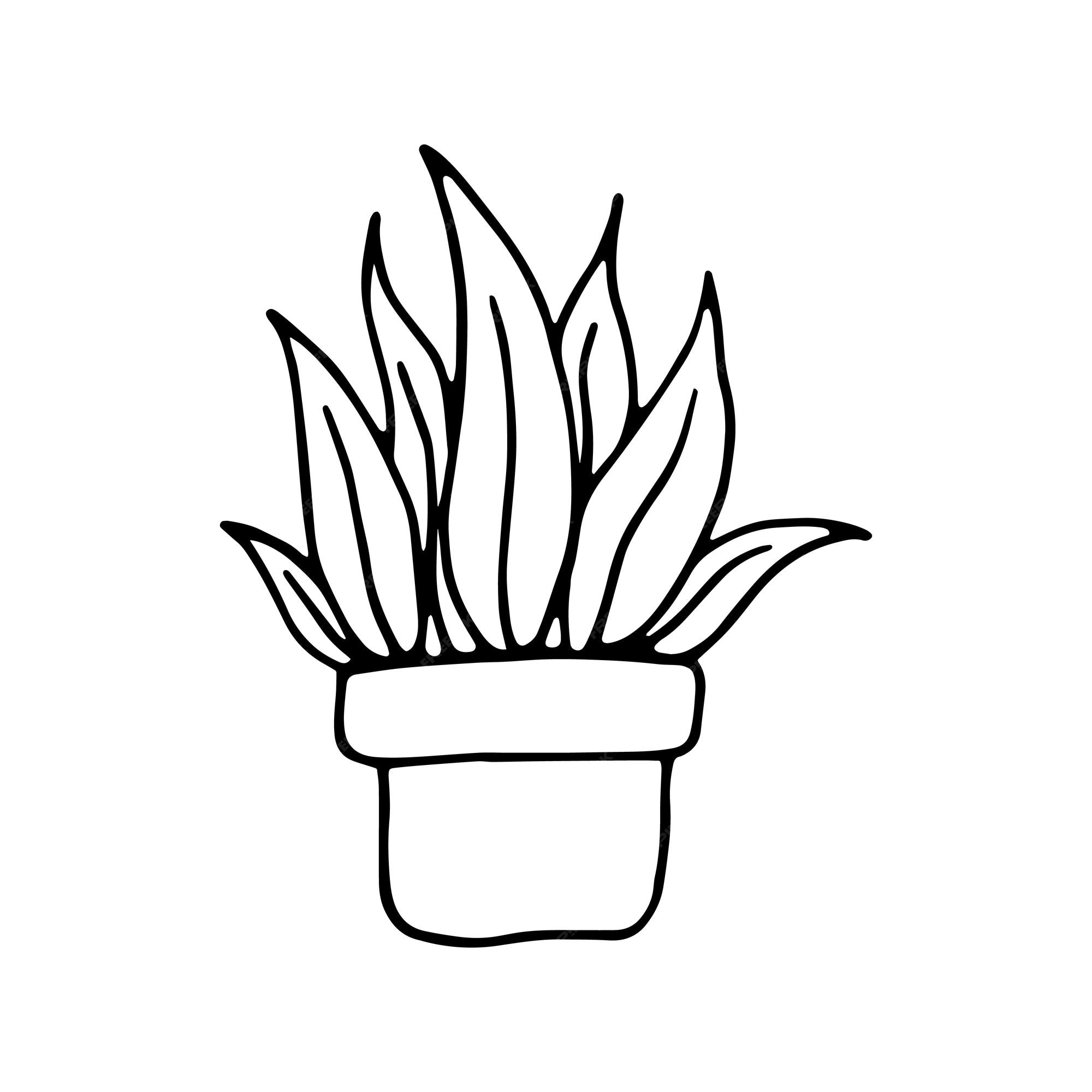 Desenhos de Plantas para Imprimir e Pintar – RESUMO VIRTUAL