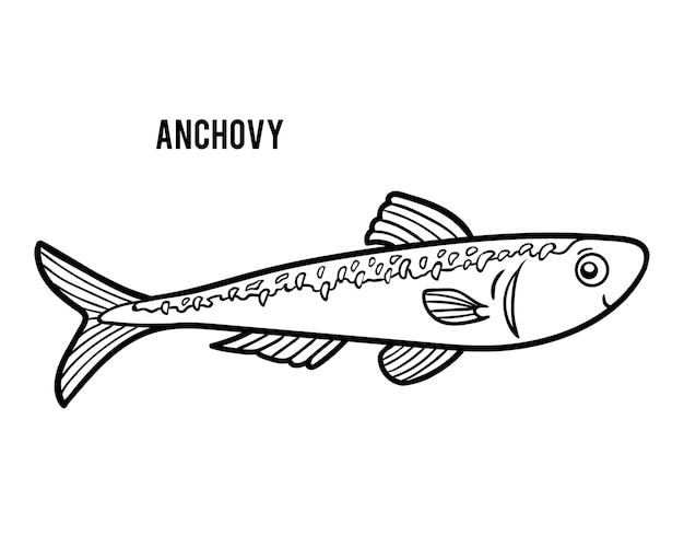 Livro de colorir para crianças anchova