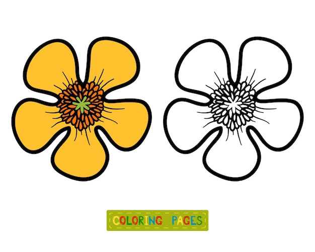 Livro de colorir para crianças, flor buttercup