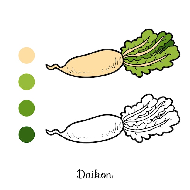 Livro de colorir para crianças, vegetais, daikon