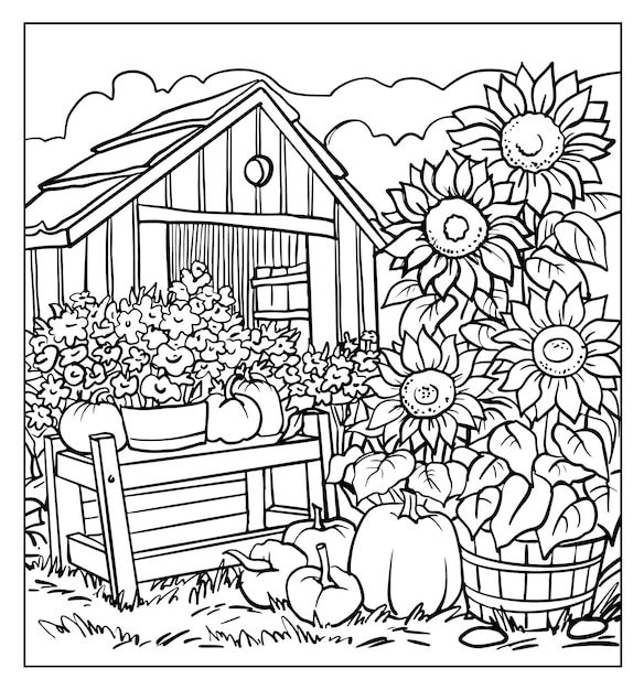 Vetor livro para colorir abóboras e girassóis na ilustração do jardim isolado no fundo branco