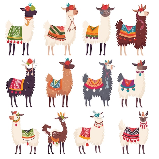 Vetor llamacartoon_alpaca_lama_funny_animal conjunto