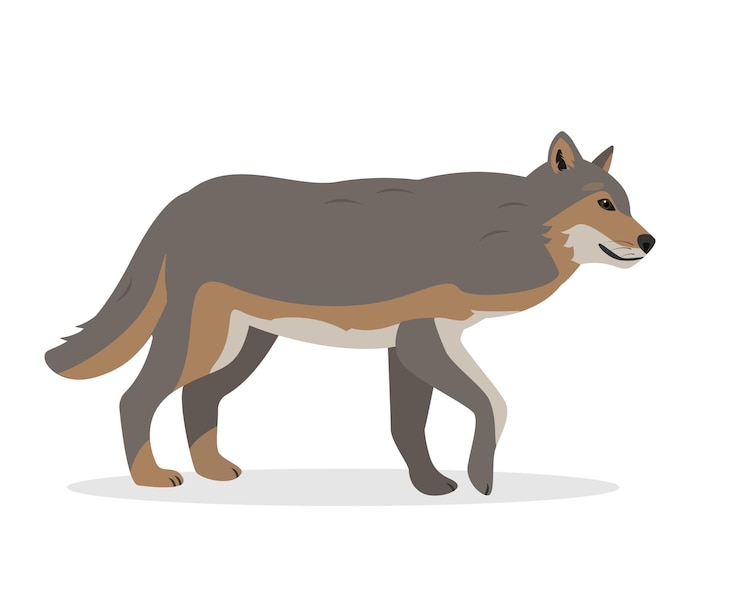 Vetor lobo correndo cinza selvagem lobo animal ícone canis lupus