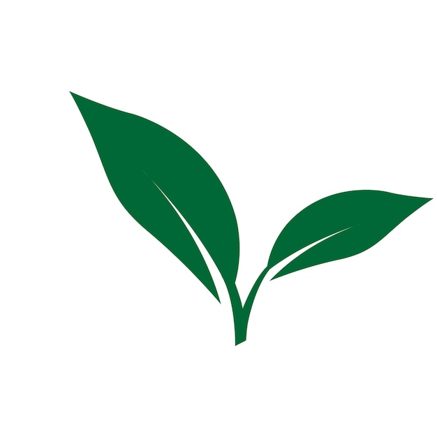 Logo folha