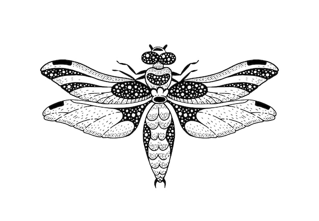 Logotipo da alquimia vetorial da libélula com borboleta mística da lua tatuagem vintage de desenho geométrico