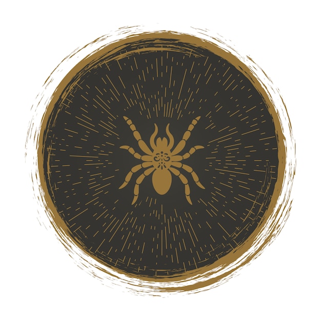 Logotipo da aranha vintage