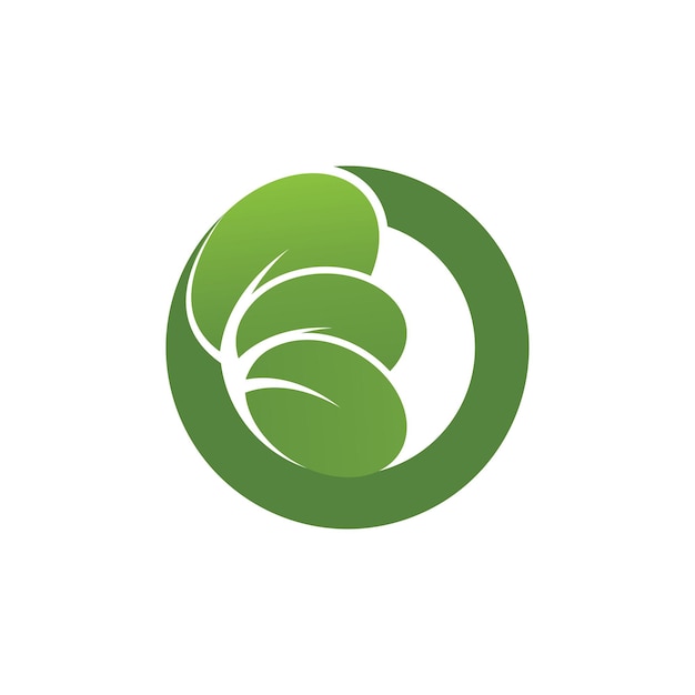Logotipo da folha verde e vetor de símbolo