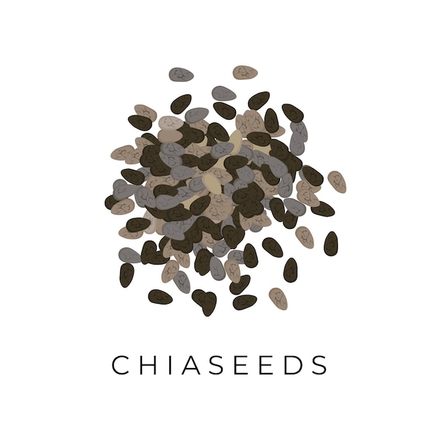 Vetor logotipo da ilustração do superalimento de sementes de chia