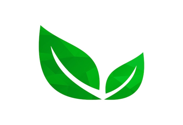 Logotipo da planta low poly e leaf folhas verdes símbolo da natureza modelo de design do vetor