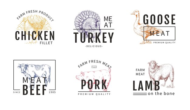 Logotipo de carne de vaca Animal de fazenda de porco Carne de porco ou de frango Estilo de esboço colorido Carne de ovelha Carne de bovino ou de aves de capoeira para a alfândega Rótulo de gado Logotipo e elementos de design de embalagem Set de sinais alimentares vetoriais