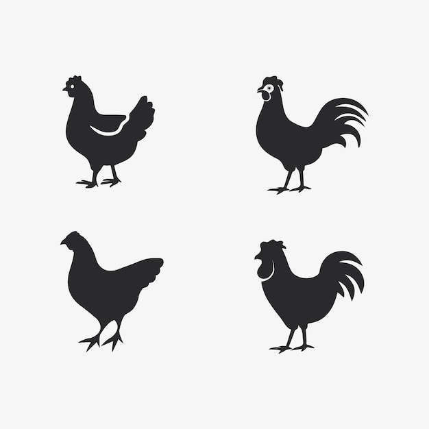 Vetor logotipo de frango galo e logotipo de galinha para design de ilustração vetorial de logotipo de animais de criação de aves