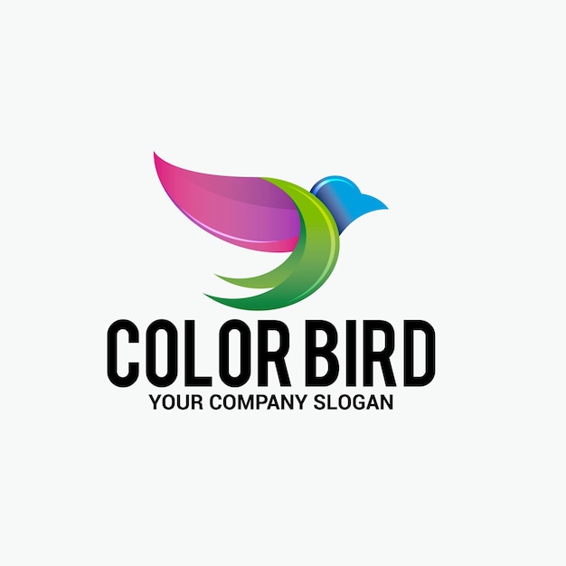 logotipo do pássaro de cor