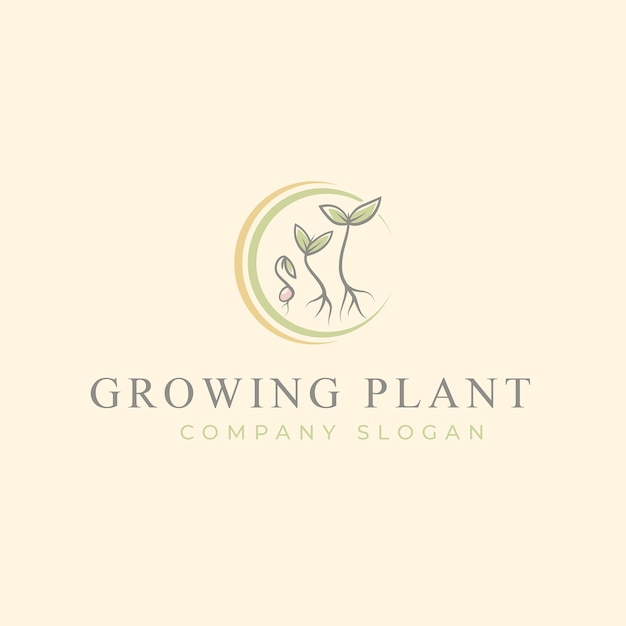 Logotipo do processo de crescimento da planta