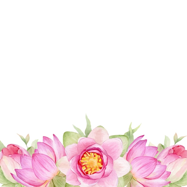 Lótus de flores cor de rosa ilustração em aquarela um quadro de flores de lótus coroa de lírio d'água chinês