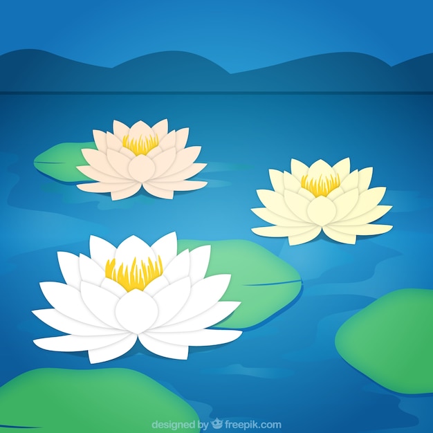 Lotus flores fundo