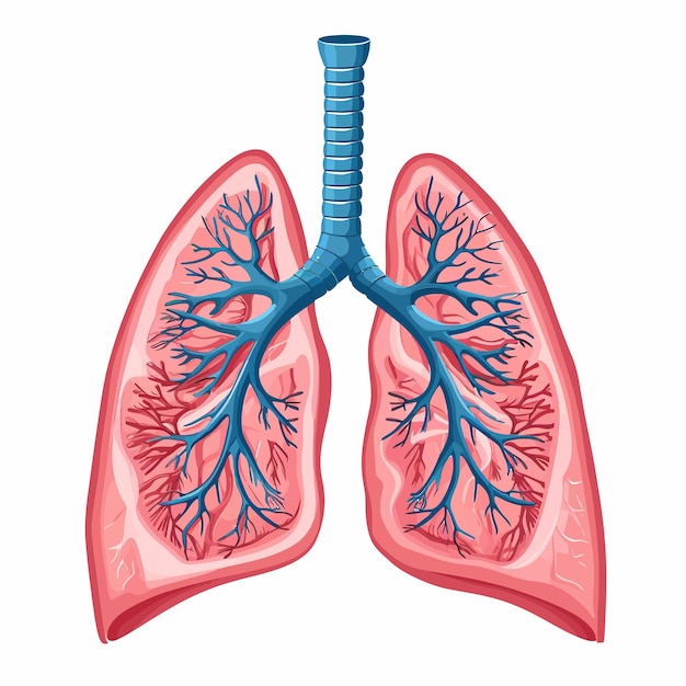 Lung_cancer_diagram_in_details_vector