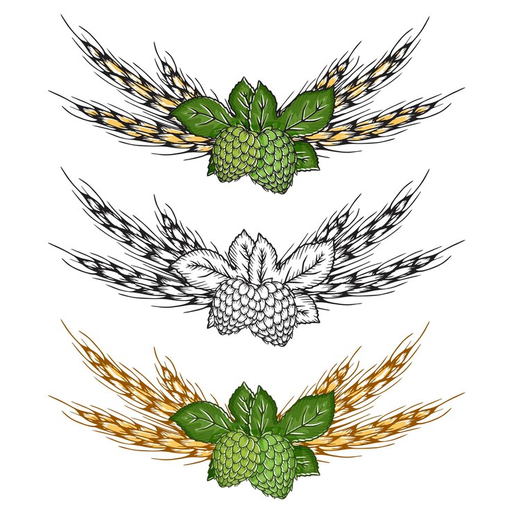 Lúpulo e trigo. Objetos desenhados à mão.