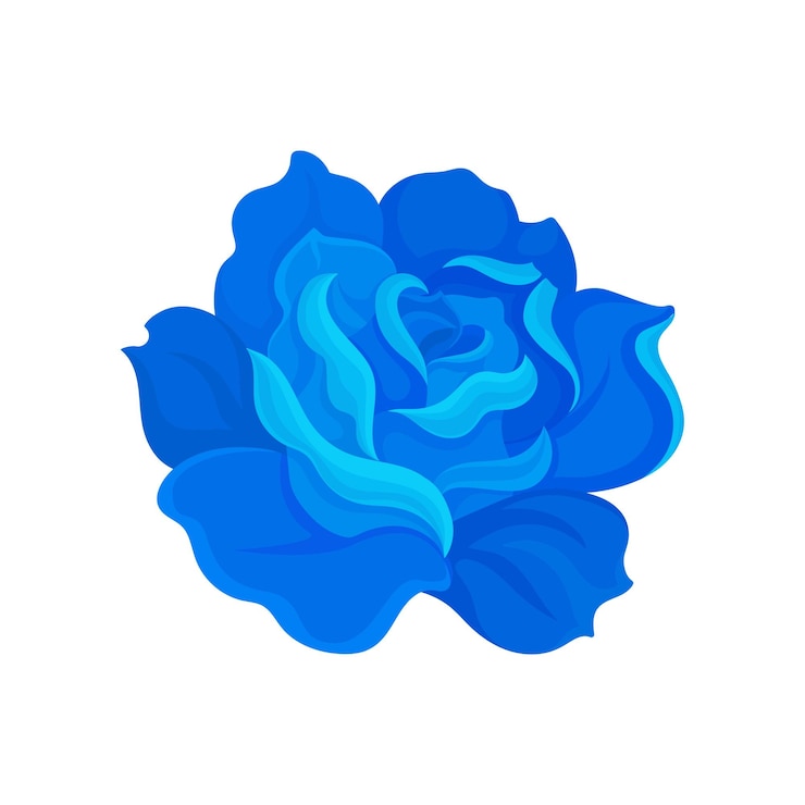 Vetor luxuriantemente florescente rosa azul vetor ilustração sobre fundo branco