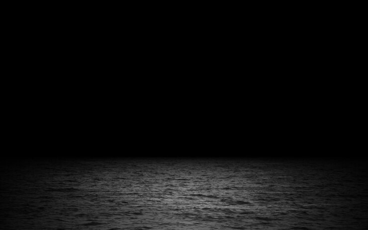 Vetor luz noturna paisagem marinha natureza fundo ilustração vetorial preto branco silhueta escura