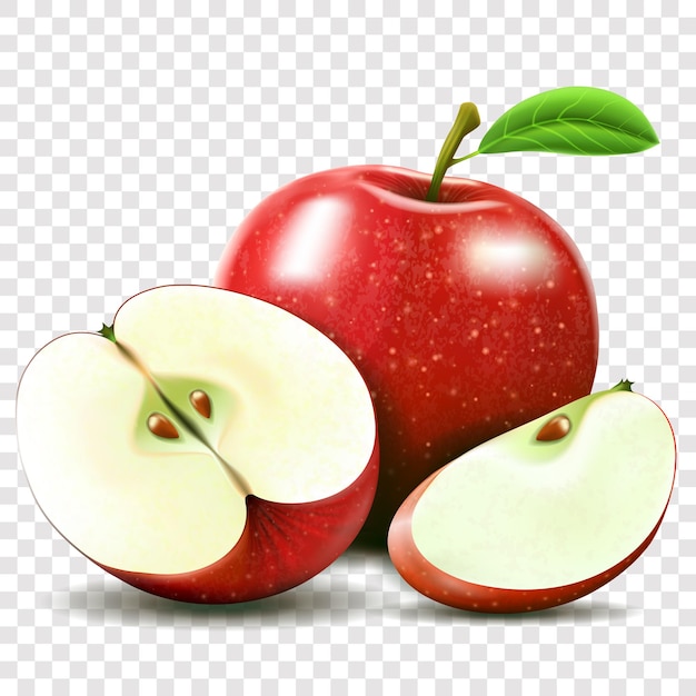 Maçã e metade da maçã, fatia de maçã isolada. ilustração do vetor de frutas. Estilo moderno realista