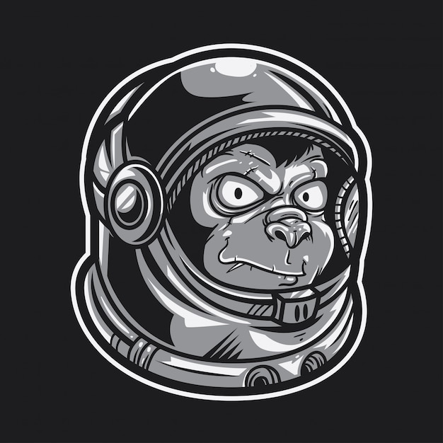 Macaco astronauta