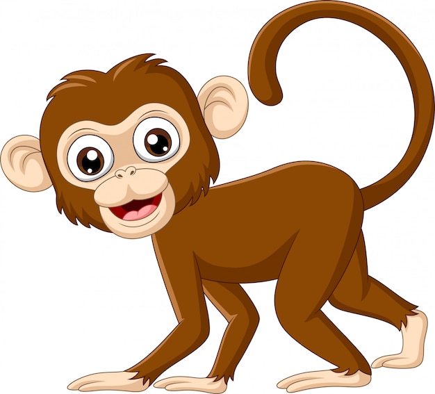 Design Plano, Selva, Macaco, Desenho Animado, Emblema, Ilustração Vetorial  Royalty Free SVG, Cliparts, Vetores, e Ilustrações Stock. Image 62293719