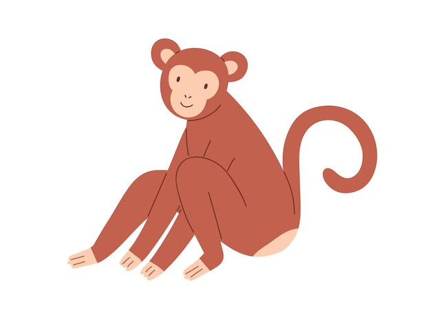 Macaco bebê marrom bonito sentado e sorrindo. personagem animal engraçado  infantil com rosto amigável e cauda curvada. ilustração em vetor plana  colorida dos desenhos animados isolada no fundo branco.