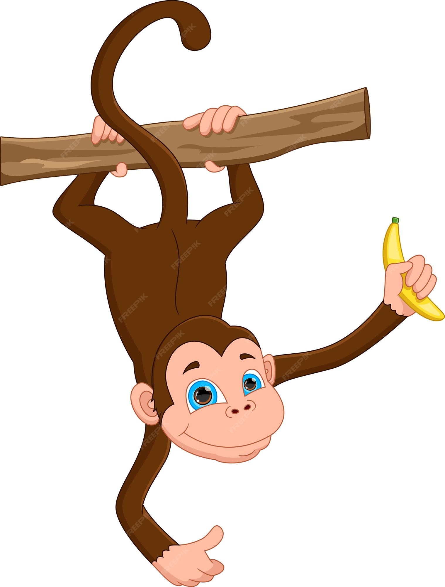 Desenho Animado Macaco Giro Segurando Banana Ilustração do Vetor -  Ilustração de cartoon, cara: 241856399