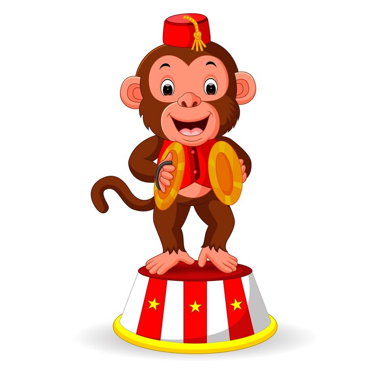 macaco bonito, tocando pratos de mão de percussão