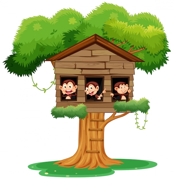 Macaco brincando na casa da árvore