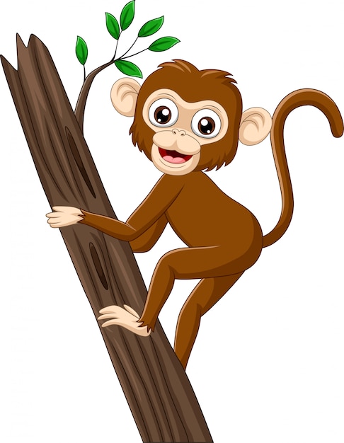 Macaco de bebê cartoon subindo galho de árvore