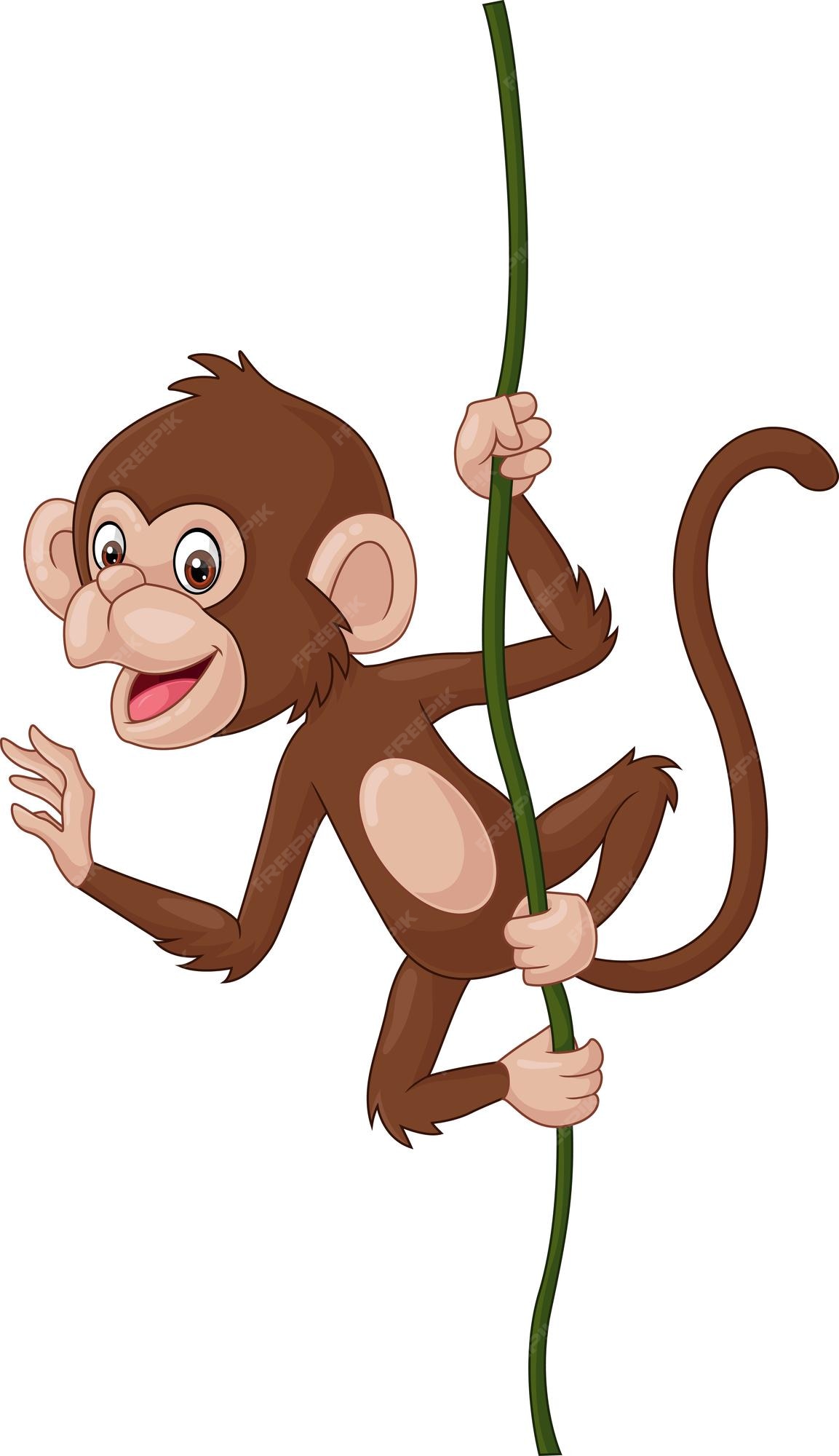 Macaco Dos Desenhos Animados PNG , Clipart De Macaco, Clipart Dos