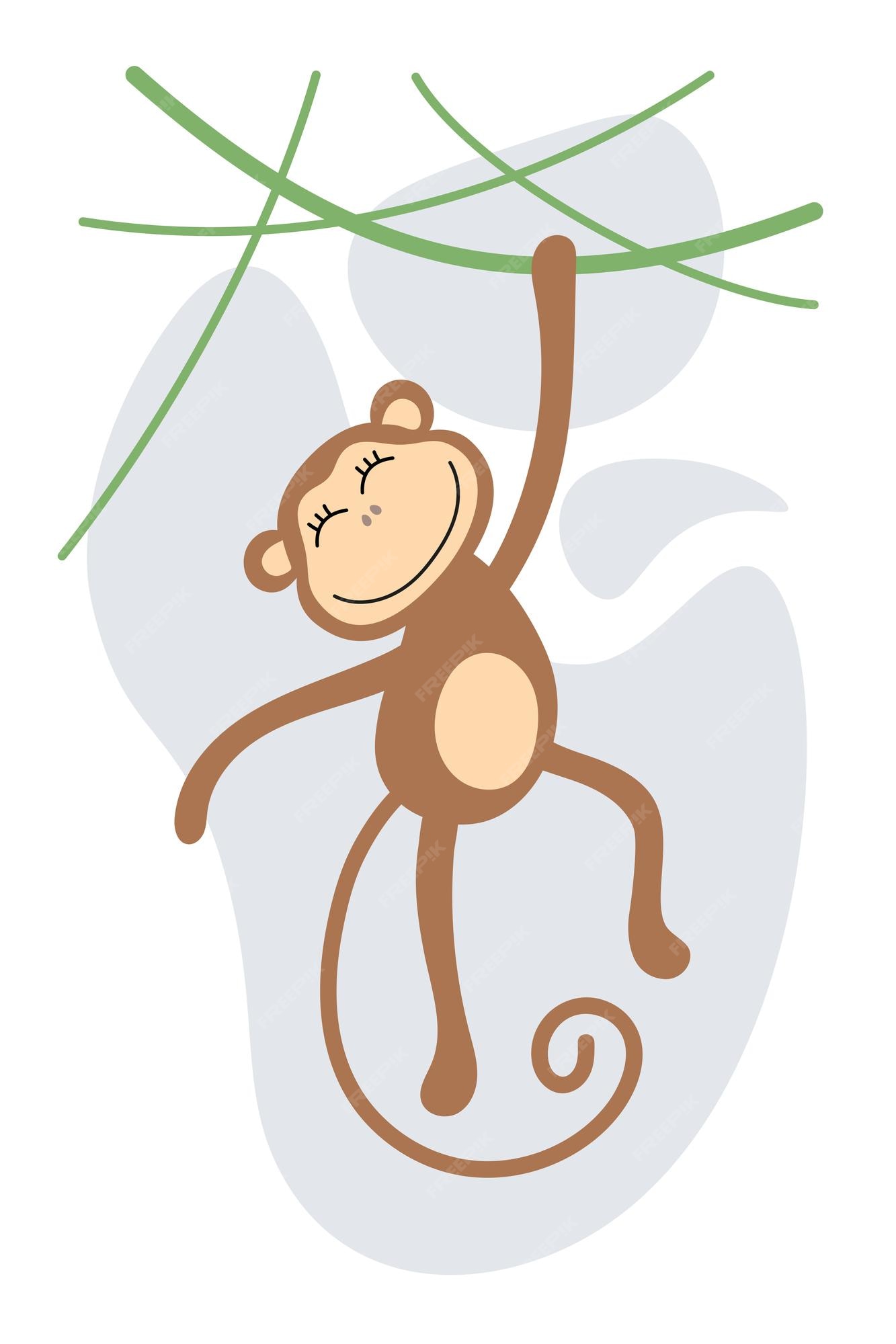 Imagens de macaco safari png - Gifs e Imagens Animadas