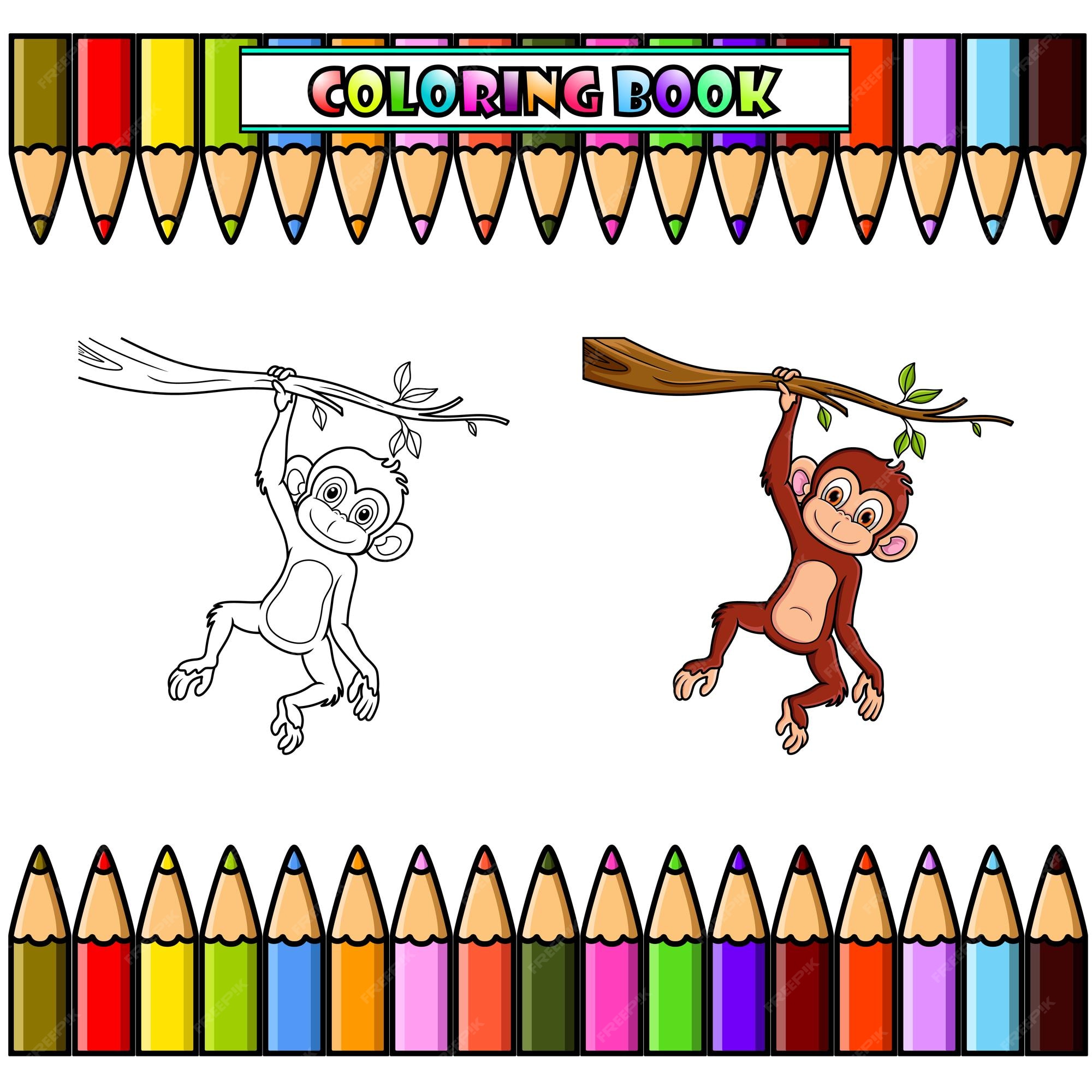 Macaco para colorir - Jardim Zoológico