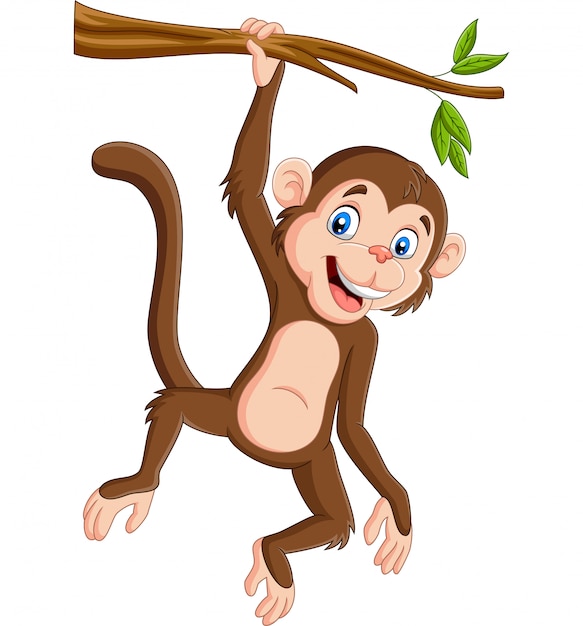 Macaco dos desenhos animados, pendurado no galho de árvore