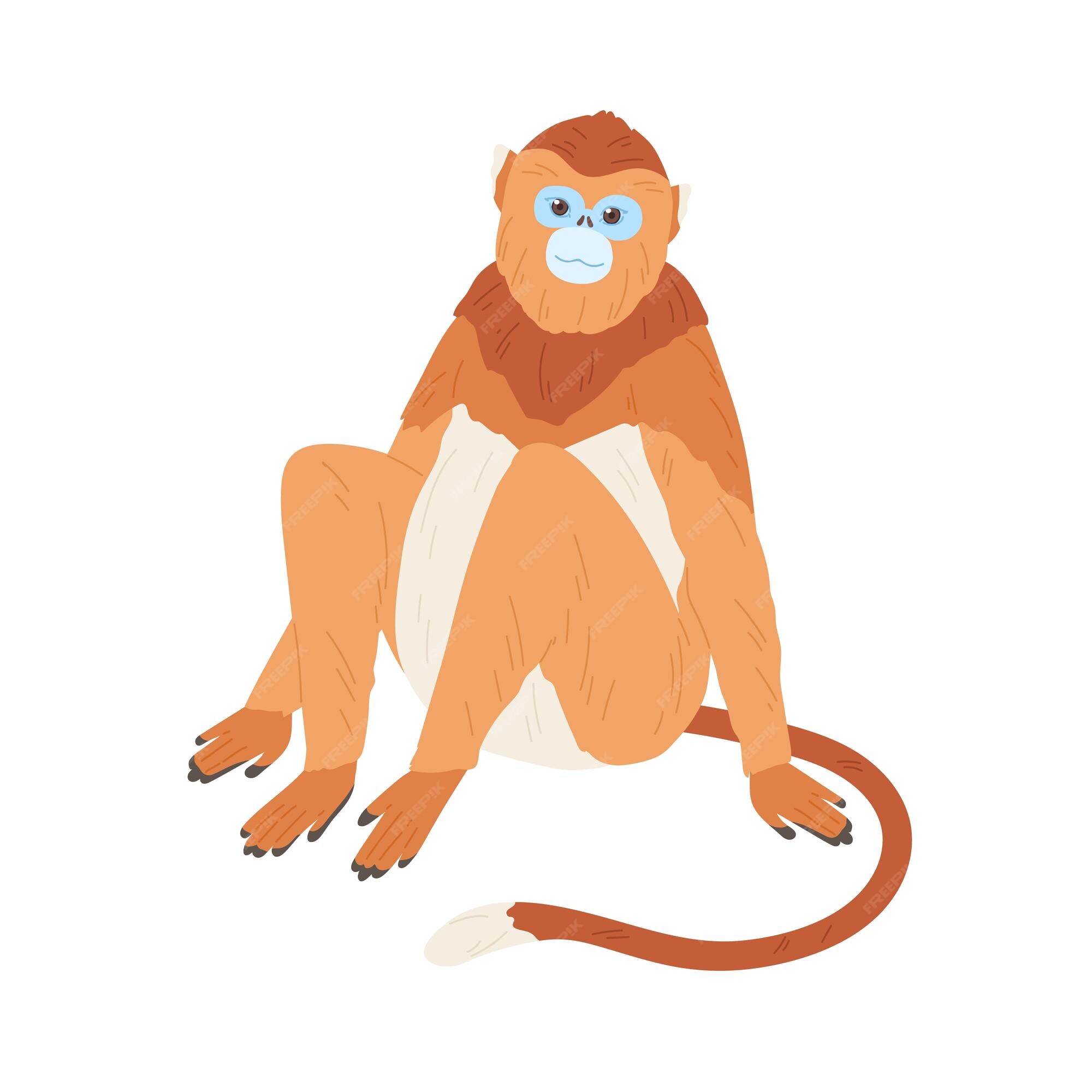 Macaco Dourado Dos Desenhos Animados Simulação Bonito Animal Mão