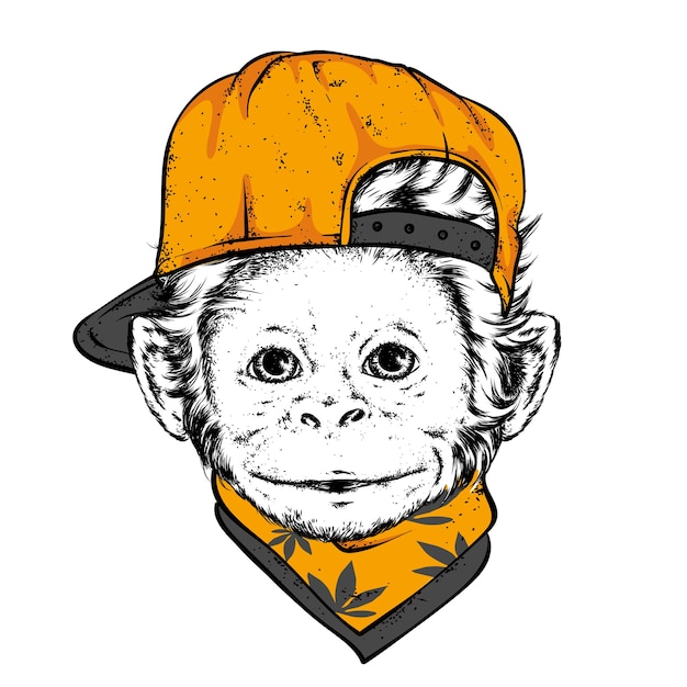 Macaco Louco Com óculos 3d PNG , Exótico, Animal, Boné PNG Imagem para  download gratuito