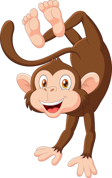 ilustração de macaco de desenho animado 8495589 PNG