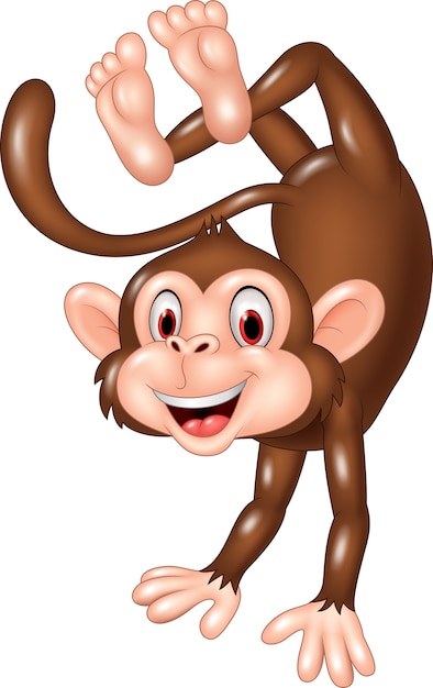 Vetor macaco feliz dos desenhos animados dançando isolado no fundo branco